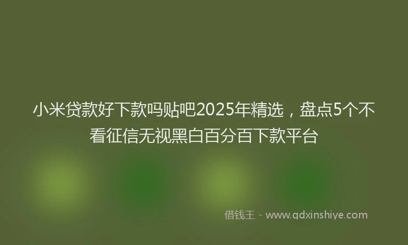 小米贷款好下款吗贴吧2025年精选，盘点5个不看征信无视黑白百分百下款平台