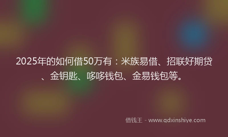 2025年的如何借50万有：米族易借、招联好期贷、金钥匙、哆哆钱包、金易钱包等。