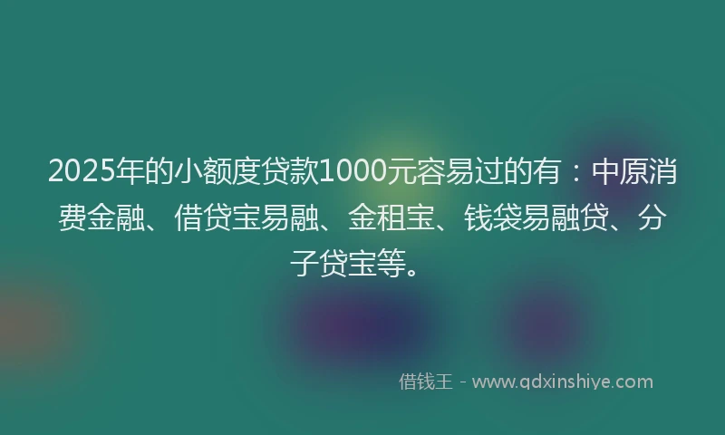 2025年的小额度贷款1000元容易过的有：中原消费金融、借贷宝易融、金租宝、钱袋易融贷、分子贷宝等。