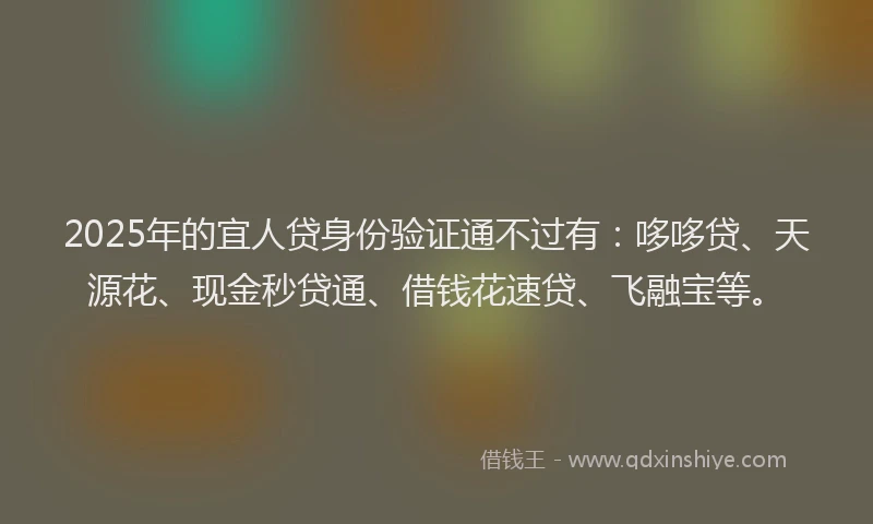 2025年的宜人贷身份验证通不过有：哆哆贷、天源花、现金秒贷通、借钱花速贷、飞融宝等。