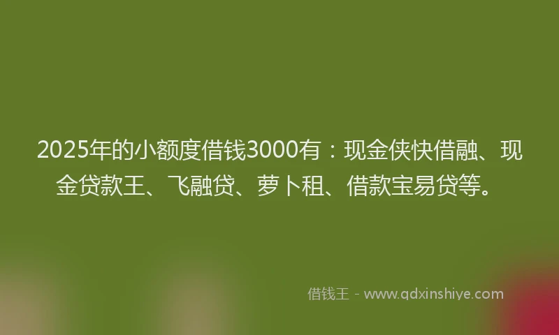 2025年的小额度借钱3000有：现金侠快借融、现金贷款王、飞融贷、萝卜租、借款宝易贷等。
