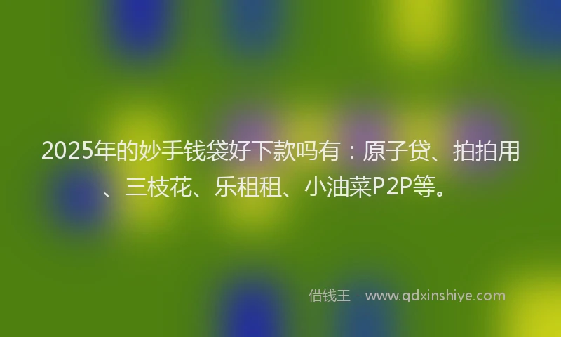 2025年的妙手钱袋好下款吗有：原子贷、拍拍用、三枝花、乐租租、小油菜P2P等。
