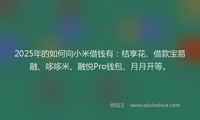2025年的如何向小米借钱有：桔享花、借款宝易融、哆哆米、融悦Pro钱包、月月开等。