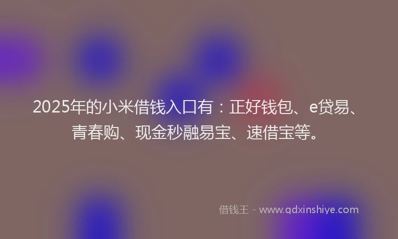2025年的小米借钱入口有：正好钱包、e贷易、青春购、现金秒融易宝、速借宝等。