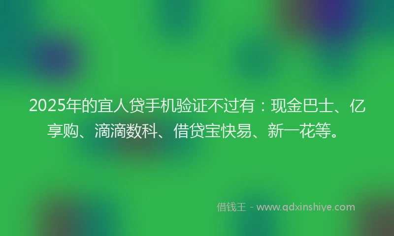 2025年的宜人贷手机验证不过有：现金巴士、亿享购、滴滴数科、借贷宝快易、新一花等。