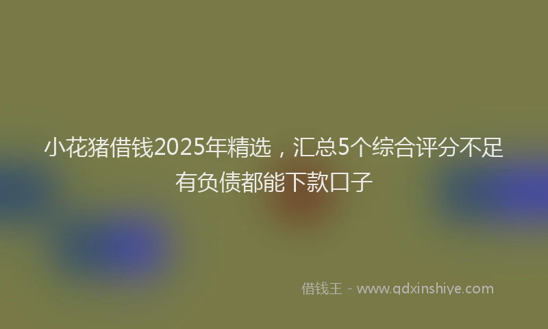 小花猪借钱2025年精选，汇总5个综合评分不足有负债都能下款口子