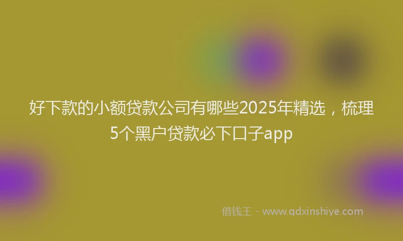 好下款的小额贷款公司有哪些2025年精选，梳理5个黑户贷款必下口子app