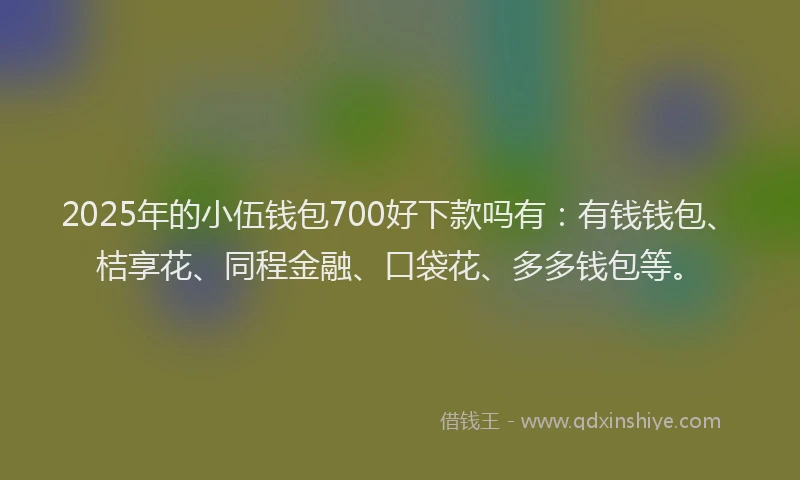 2025年的小伍钱包700好下款吗有：有钱钱包、桔享花、同程金融、口袋花、多多钱包等。