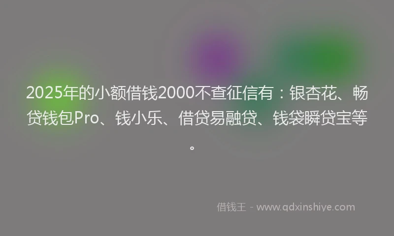 2025年的小额借钱2000不查征信有：银杏花、畅贷钱包Pro、钱小乐、借贷易融贷、钱袋瞬贷宝等。