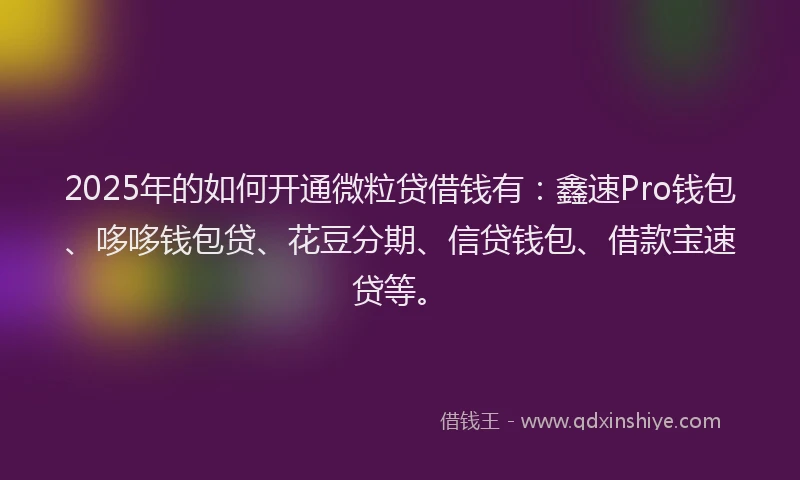 2025年的如何开通微粒贷借钱有：鑫速Pro钱包、哆哆钱包贷、花豆分期、信贷钱包、借款宝速贷等。