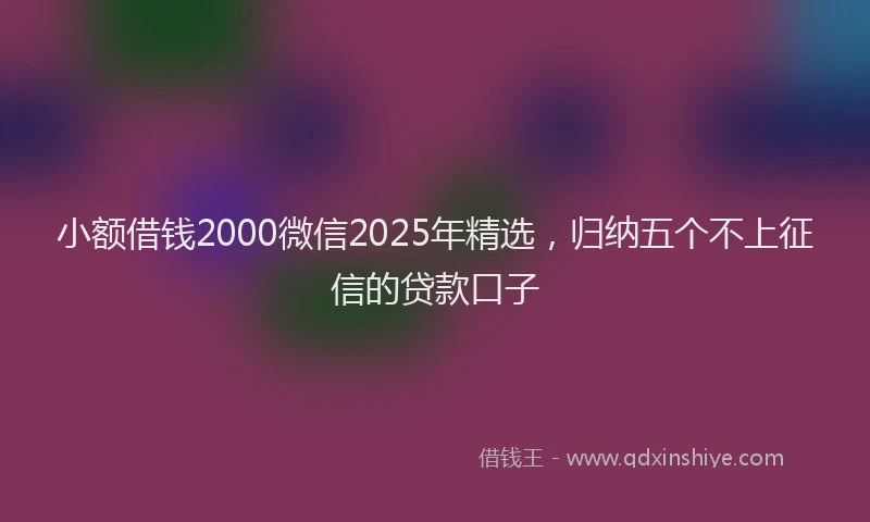 小额借钱2000微信2025年精选,归纳五个不上征信的贷款口子