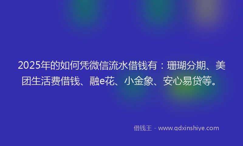 2025年的如何凭微信流水借钱有：珊瑚分期、美团生活费借钱、融e花、小金象、安心易贷等。