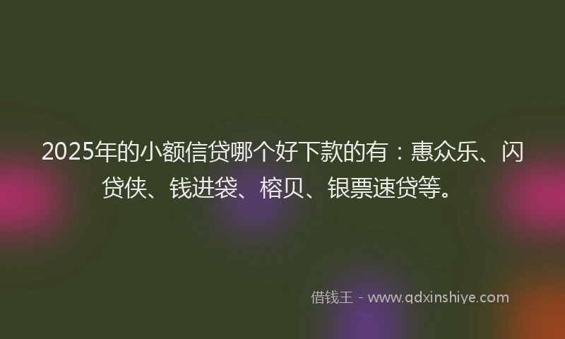 2025年的小额信贷哪个好下款的有：惠众乐、闪贷侠、钱进袋、榕贝、银票速贷等。