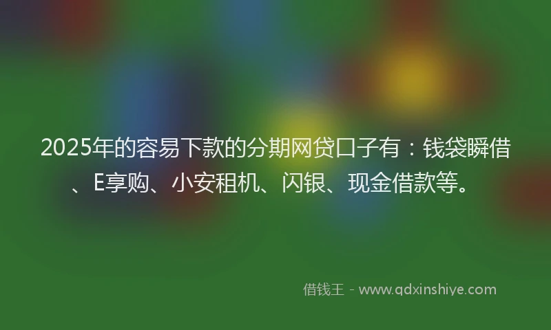 2025年的容易下款的分期网贷口子有：钱袋瞬借、E享购、小安租机、闪银、现金借款等。