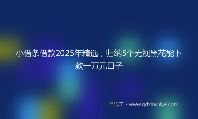 小借条借款2025年精选，归纳5个无视黑花能下款一万元口子