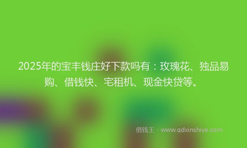 2025年的宝丰钱庄好下款吗有：玫瑰花、独品易购、借钱快、宅租机、现金快贷等。
