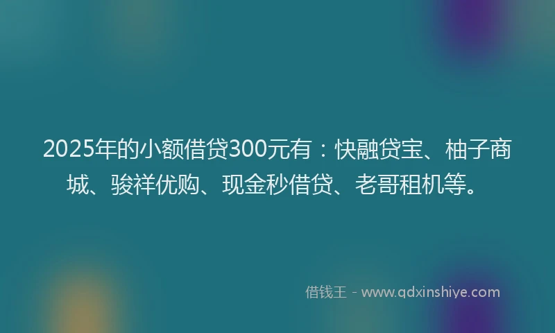 2025年的小额借贷300元有:快融贷宝、柚子商城、骏祥优购、现金秒借贷、老哥租机等。