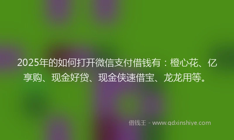 2025年的如何打开微信支付借钱有：橙心花、亿享购、现金好贷、现金侠速借宝、龙龙用等。