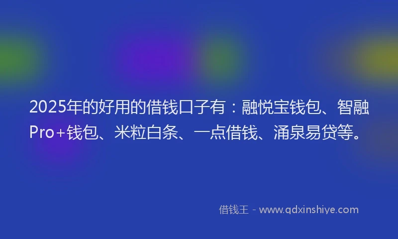 2025年的好用的借钱口子有：融悦宝钱包、智融Pro+钱包、米粒白条、一点借钱、涌泉易贷等。
