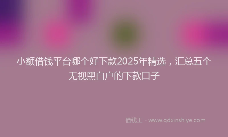 小额借钱平台哪个好下款2025年精选，汇总五个无视黑白户的下款口子