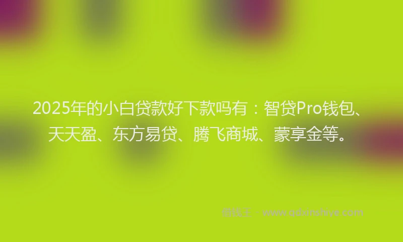 2025年的小白贷款好下款吗有:智贷Pro钱包、天天盈、东方易贷、腾飞商城、蒙享金等。