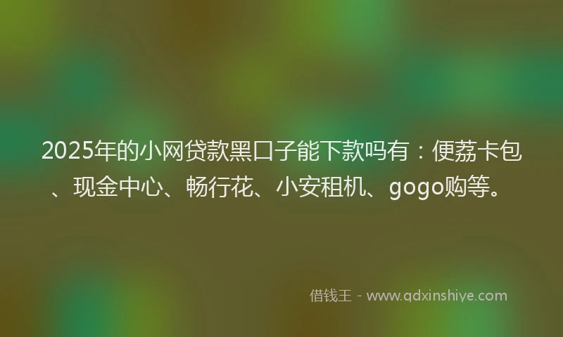 2025年的小网贷款黑口子能下款吗有：便荔卡包、现金中心、畅行花、小安租机、gogo购等。