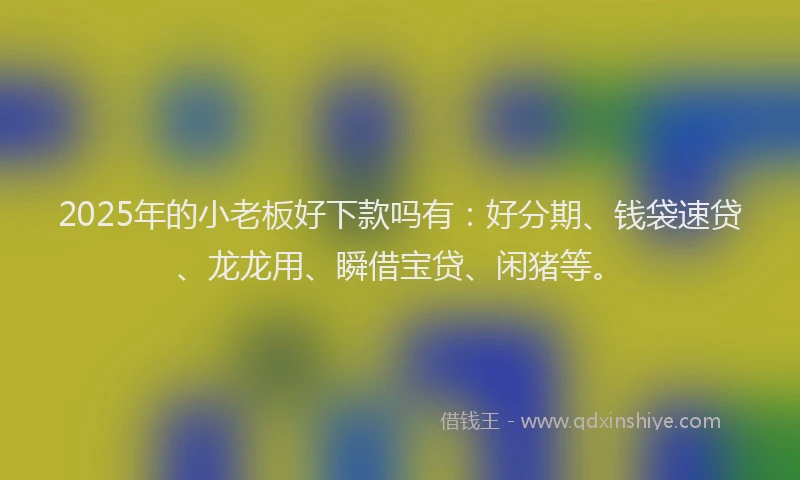 2025年的小老板好下款吗有：好分期、钱袋速贷、龙龙用、瞬借宝贷、闲猪等。