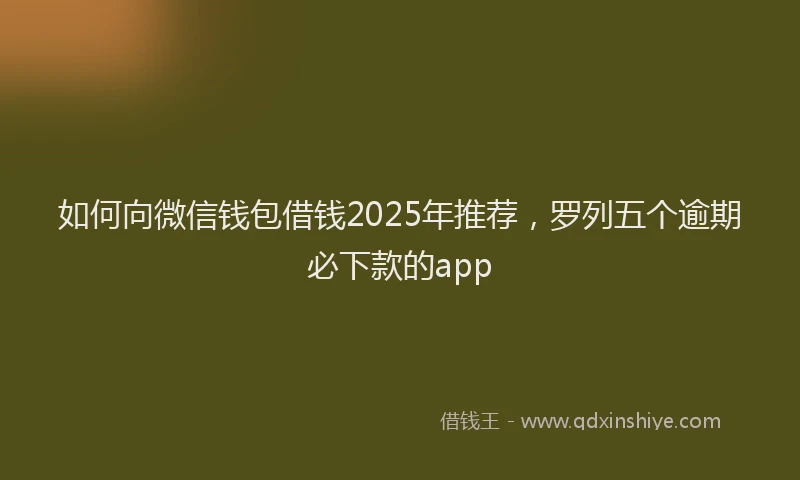 如何向微信钱包借钱2025年推荐，罗列五个逾期必下款的app