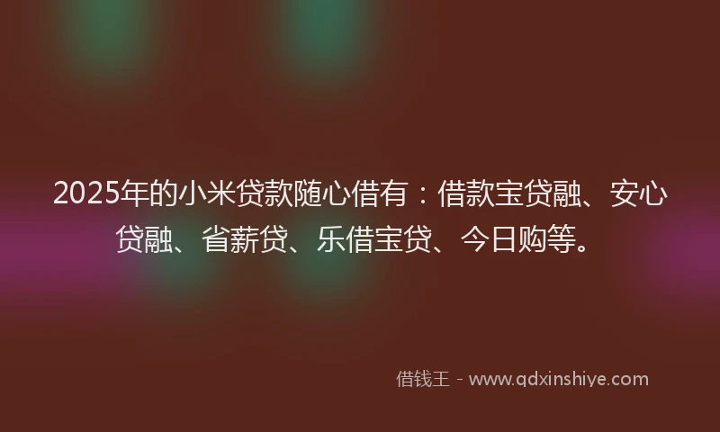 2025年的小米贷款随心借有：借款宝贷融、安心贷融、省薪贷、乐借宝贷、今日购等。