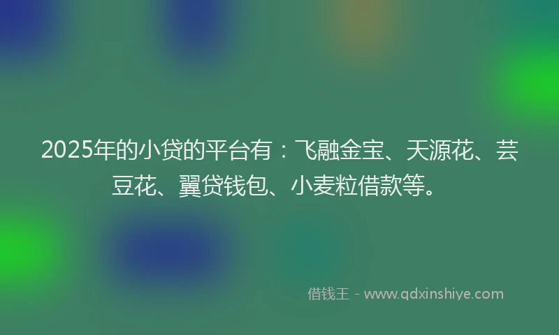 2025年的小贷的平台有：飞融金宝、天源花、芸豆花、翼贷钱包、小麦粒借款等。