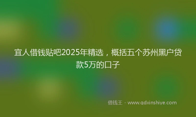 宜人借钱贴吧2025年精选，概括五个苏州黑户贷款5万的口子