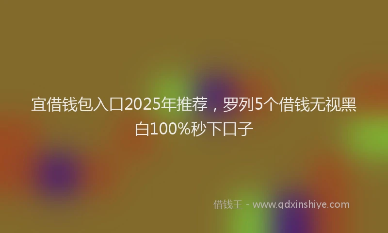 宜借钱包入口2025年推荐，罗列5个借钱无视黑白100%秒下口子