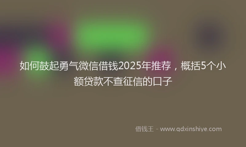 如何鼓起勇气微信借钱2025年推荐，概括5个小额贷款不查征信的口子