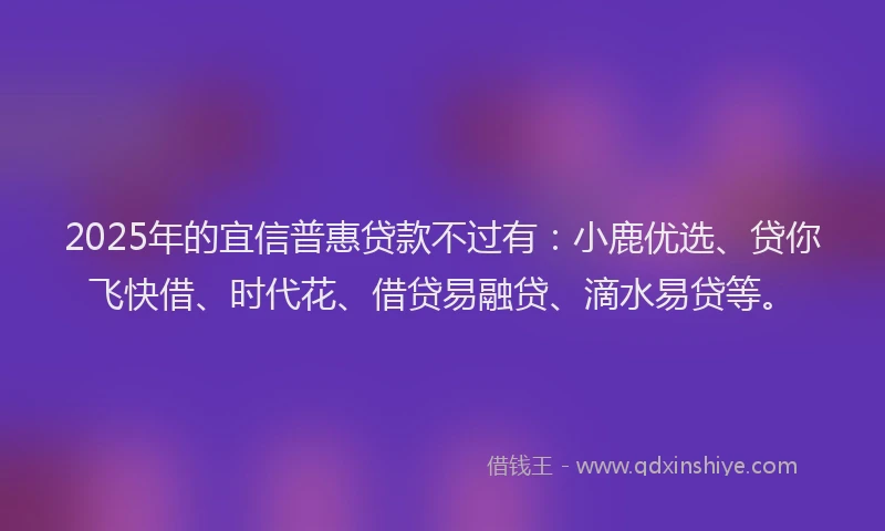2025年的宜信普惠贷款不过有：小鹿优选、贷你飞快借、时代花、借贷易融贷、滴水易贷等。