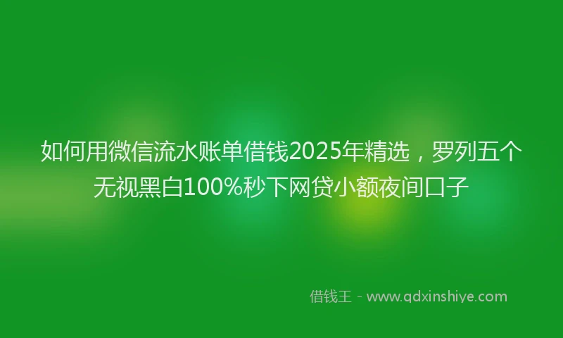 如何用微信流水账单借钱2025年精选，罗列五个无视黑白100%秒下网贷小额夜间口子