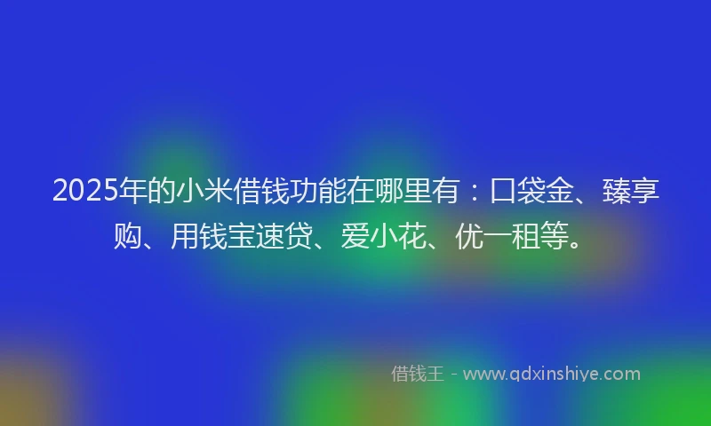 2025年的小米借钱功能在哪里有：口袋金、臻享购、用钱宝速贷、爱小花、优一租等。