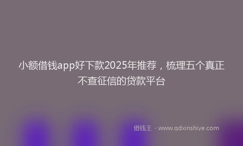 小额借钱app好下款2025年推荐，梳理五个真正不查征信的贷款平台