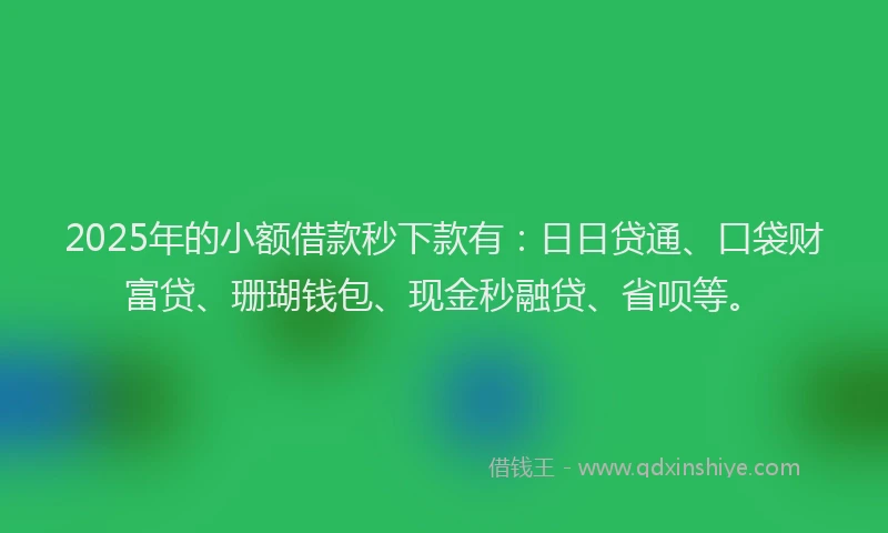 2025年的小额借款秒下款有：日日贷通、口袋财富贷、珊瑚钱包、现金秒融贷、省呗等。