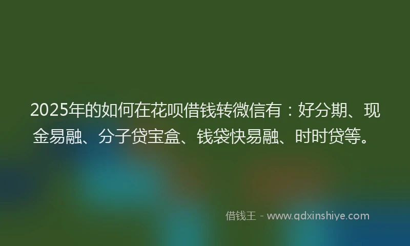 2025年的如何在花呗借钱转微信有：好分期、现金易融、分子贷宝盒、钱袋快易融、时时贷等。