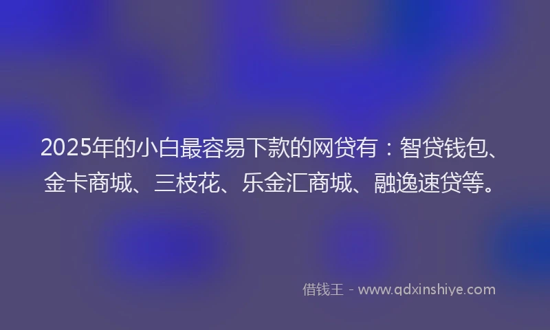 2025年的小白最容易下款的网贷有：智贷钱包、金卡商城、三枝花、乐金汇商城、融逸速贷等。