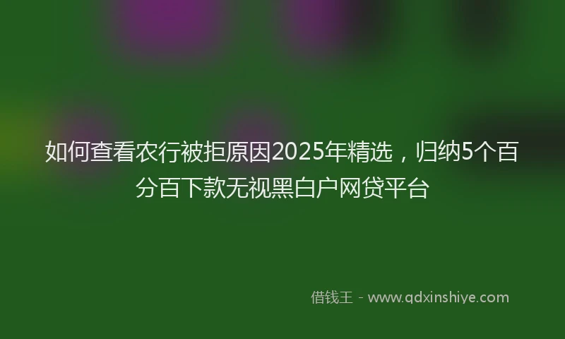 如何查看农行被拒原因2025年精选，归纳5个百分百下款无视黑白户网贷平台