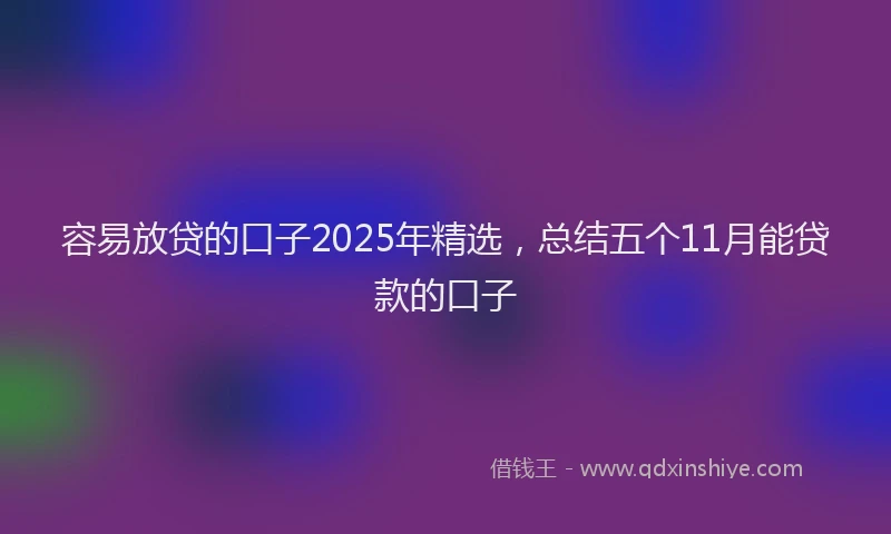 容易放贷的口子2025年精选，总结五个11月能贷款的口子