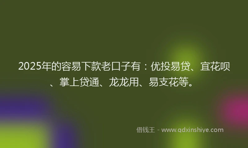 2025年的容易下款老口子有：优投易贷、宜花呗、掌上贷通、龙龙用、易支花等。