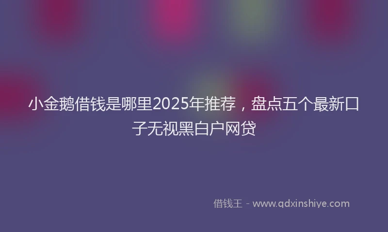 小金鹅借钱是哪里2025年推荐，盘点五个最新口子无视黑白户网贷
