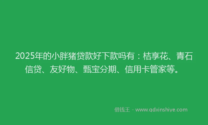 2025年的小胖猪贷款好下款吗有：桔享花、青石信贷、友好物、甄宝分期、信用卡管家等。