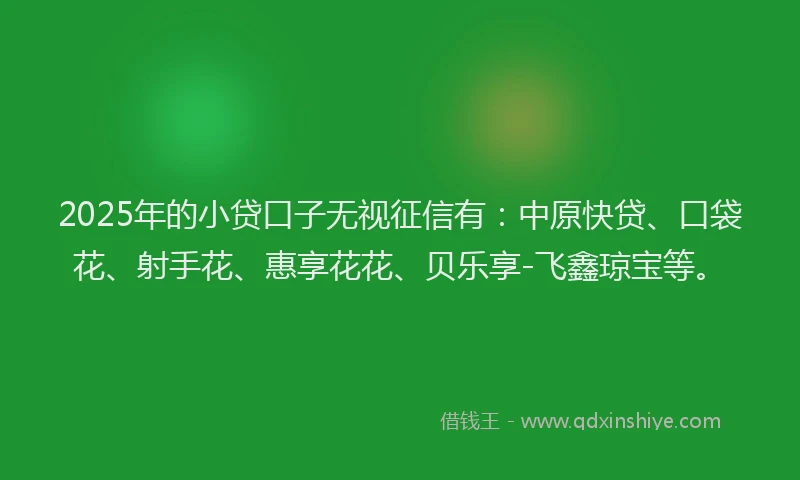 2025年的小贷口子无视征信有：中原快贷、口袋花、射手花、惠享花花、贝乐享-飞鑫琼宝等。