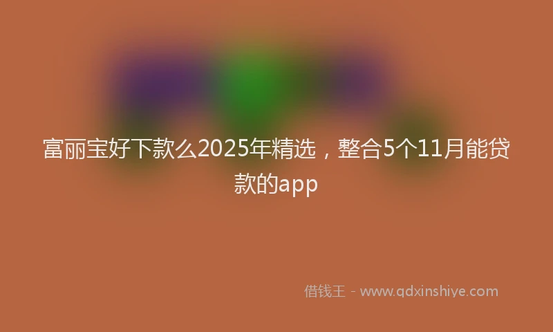 富丽宝好下款么2025年精选，整合5个11月能贷款的app