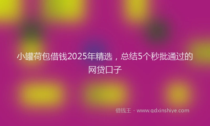 小罐荷包借钱2025年精选，总结5个秒批通过的网贷口子