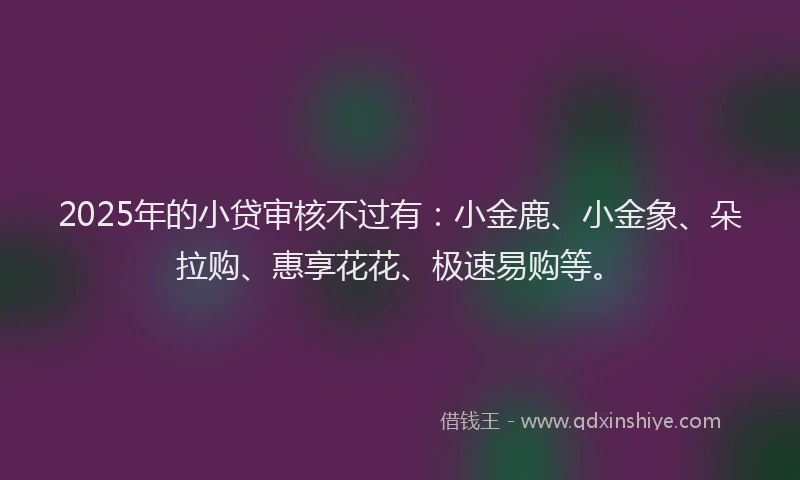 2025年的小贷审核不过有：小金鹿、小金象、朵拉购、惠享花花、极速易购等。