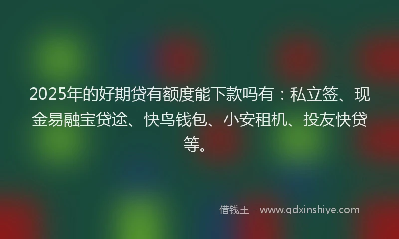 2025年的好期贷有额度能下款吗有：私立签、现金易融宝贷途、快鸟钱包、小安租机、投友快贷等。